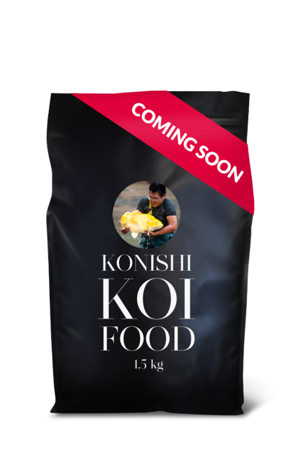 N°1 Tosai Baby 1.5 kg