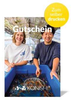 Konishi Gutschein 25 Euro