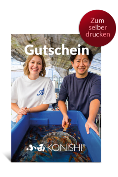 Konishi Gutschein 50 Euro