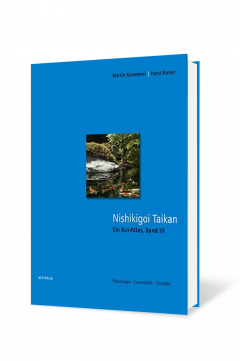 NISHIKIGOI TAIKAN TEIL 3