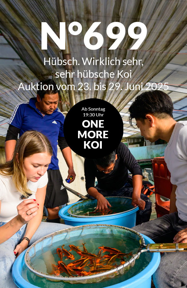 Auktion 699 Mobil