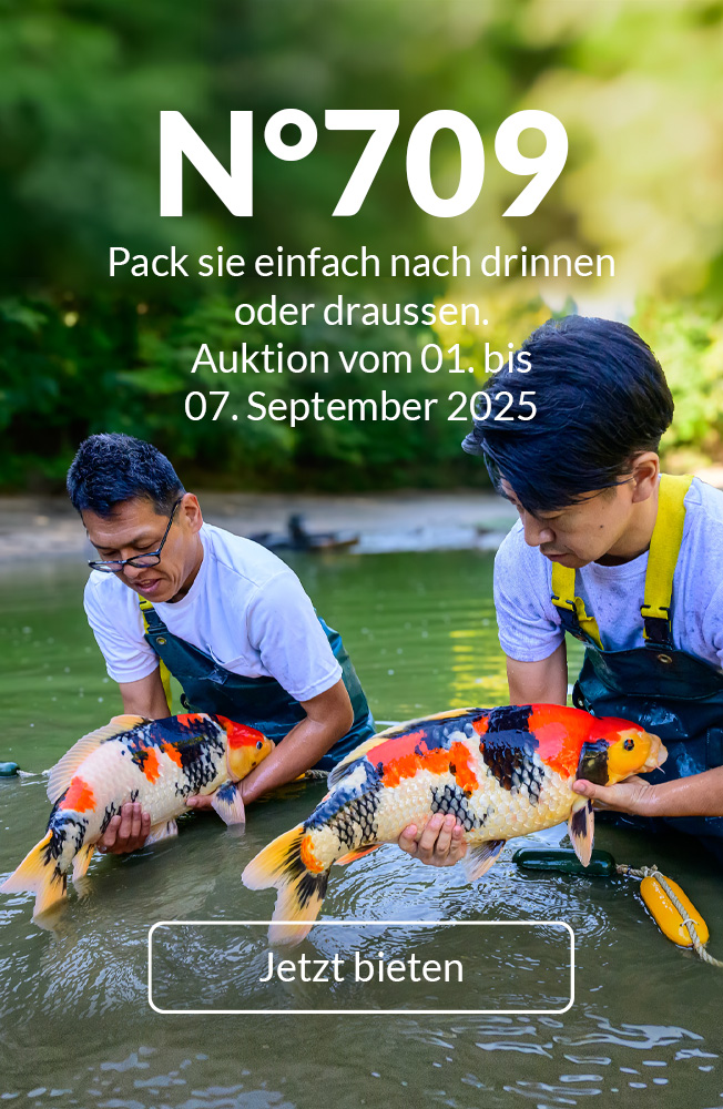 Auktion 709 Mobil