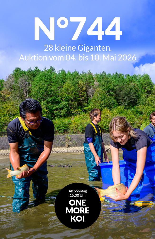 Auktion 744 Mobil