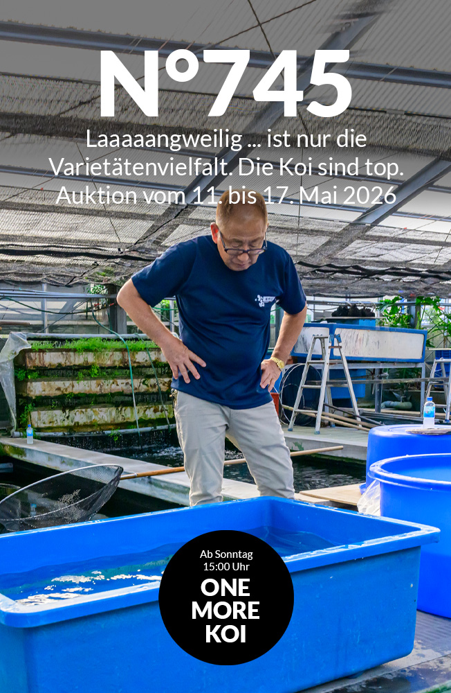 Auktion 745 Mobil