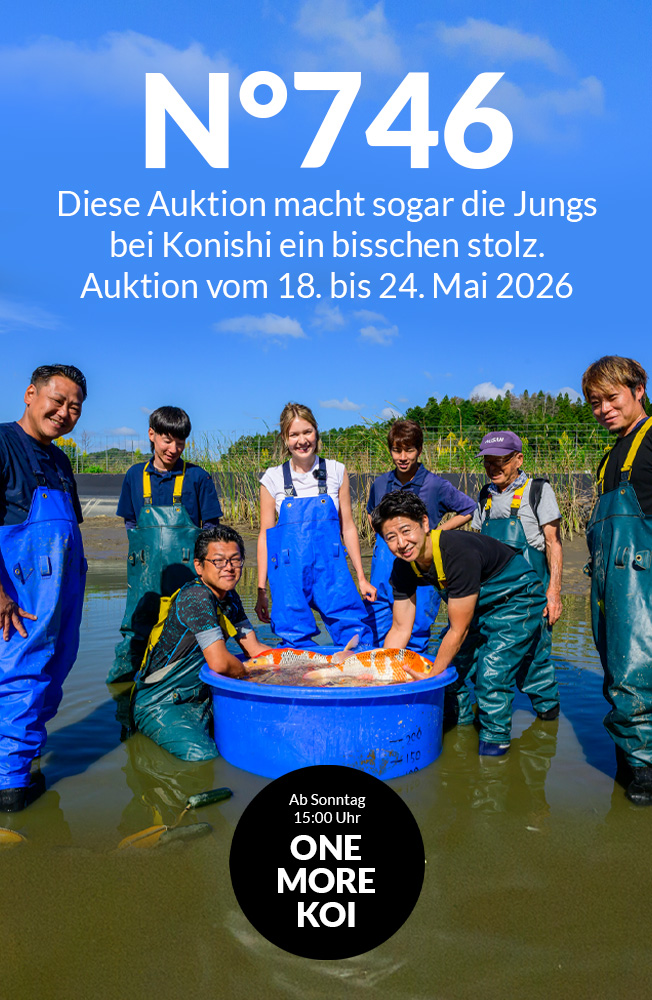 Auktion 746 Mobil