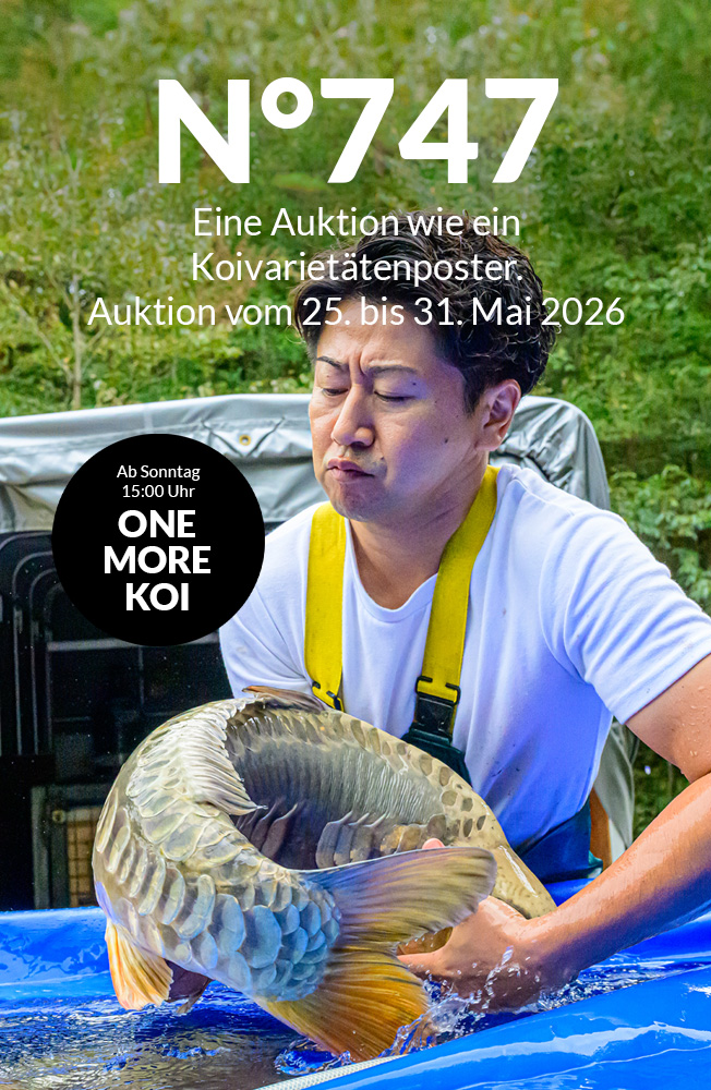Auktion 747 Mobil 1