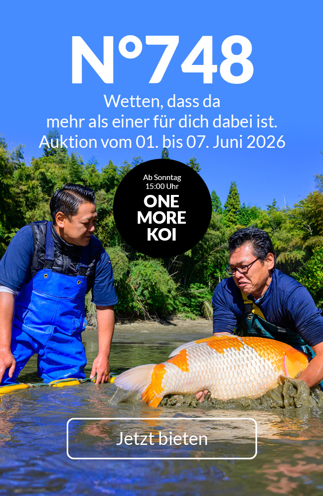 Auktion 748 Mobil