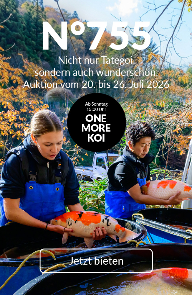 Auktion 755 Mobil