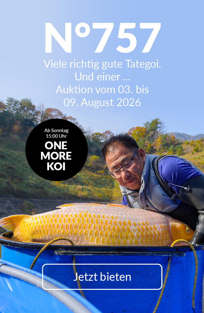 Auktion 757 Mobil