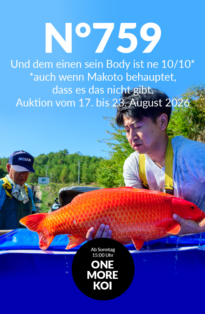 Auktion 759 Mobil