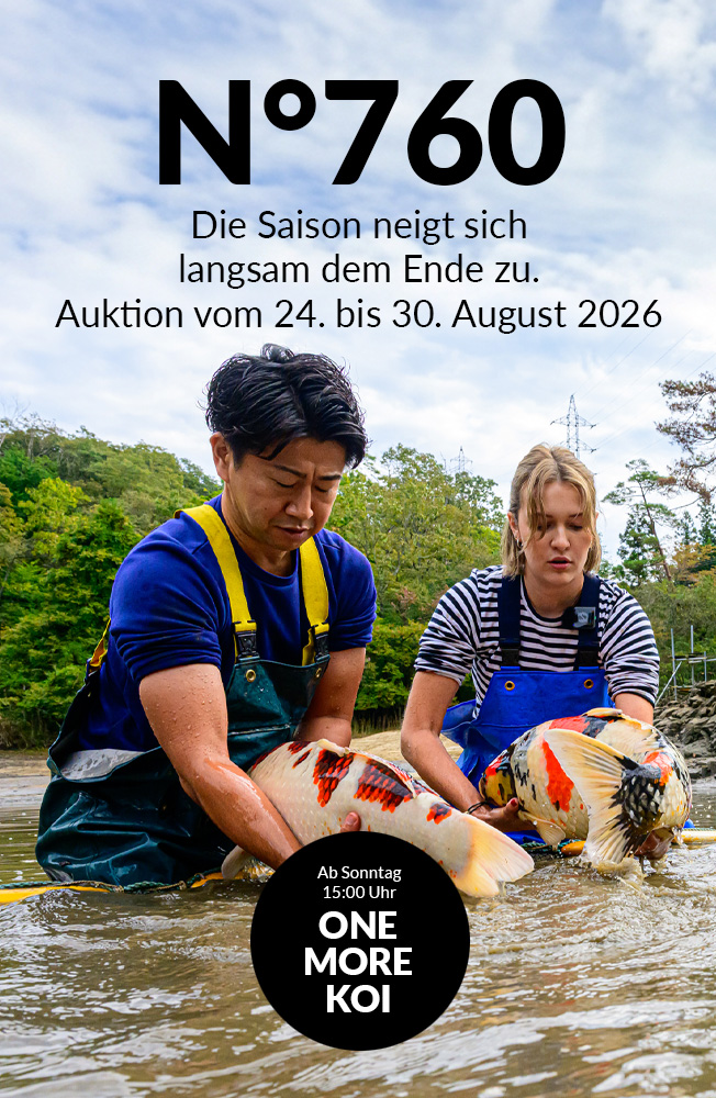 Auktion 760 Mobil