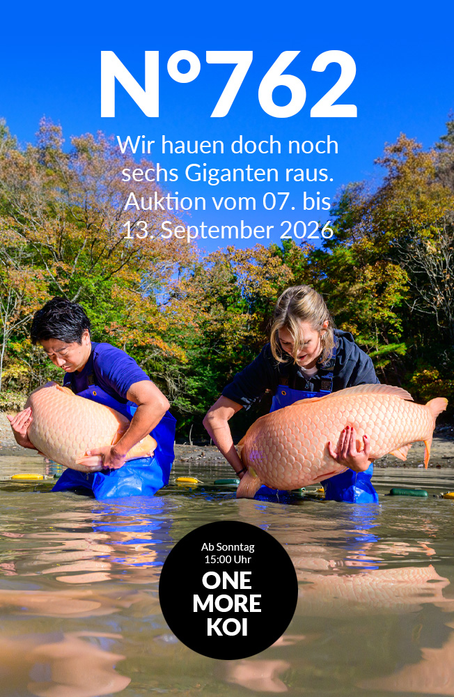 Auktion 762 Mobil