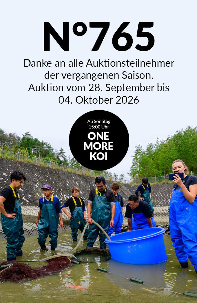 Auktion 765 Mobil