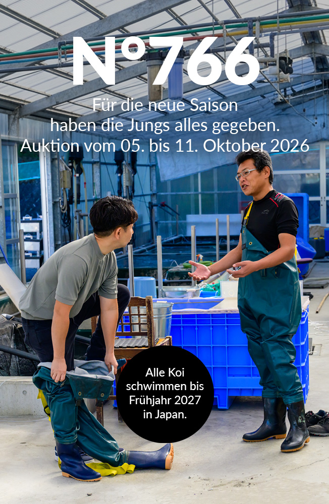 Auktion 766 Mobil 1
