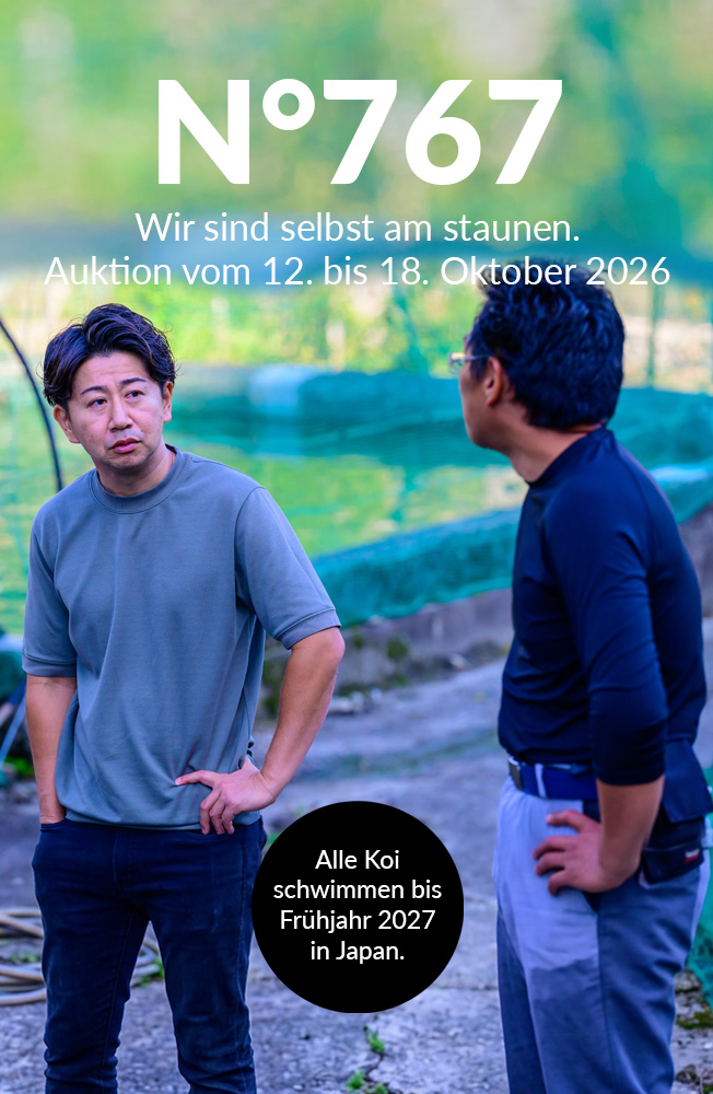 Auktion 767 Mobil