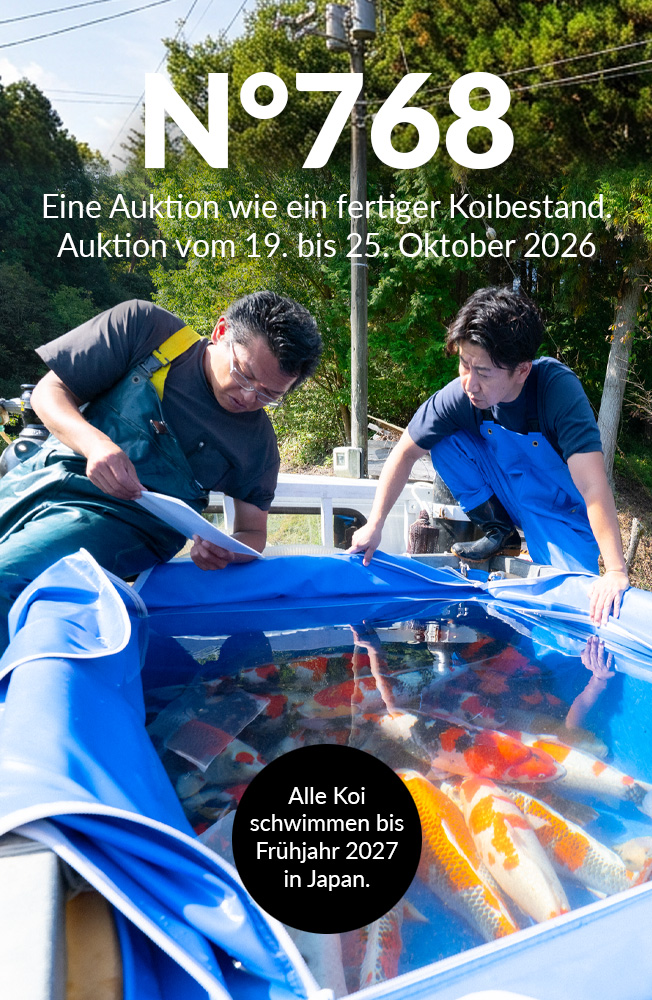 Auktion 768 Mobil