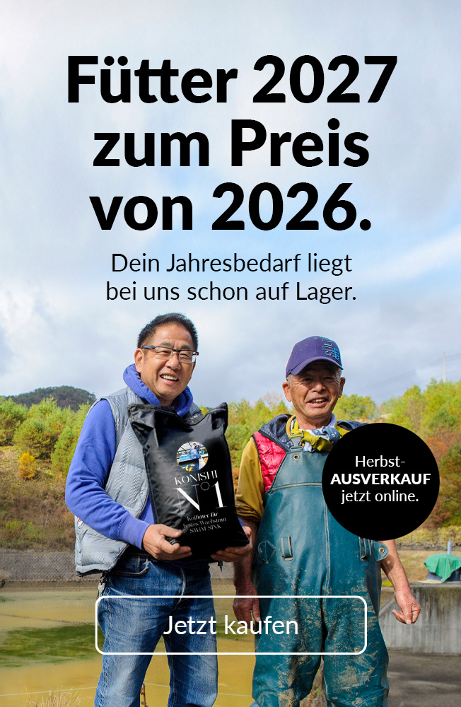 Ausverkauf Sept2026 Mobil 1