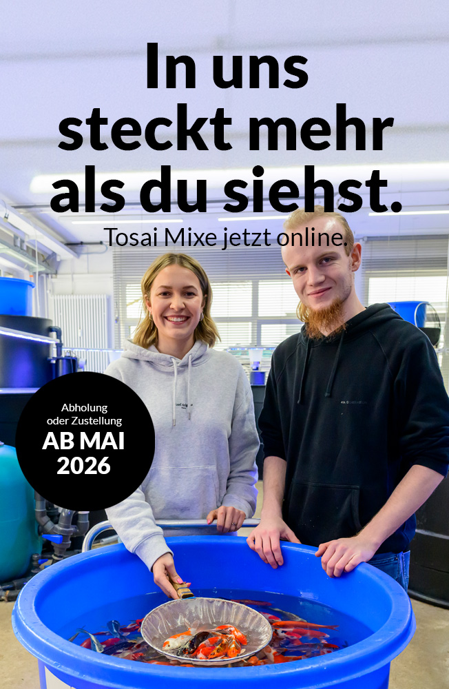 Direktverkauf Tosai Mixe Maerz2026  Mobil