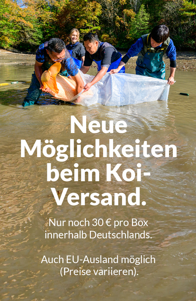 Koi Versand 2026 Mobil