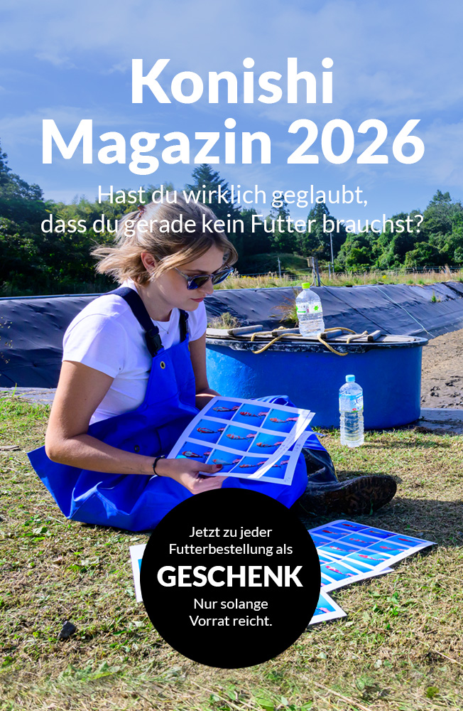 Magazin Geschenk 2026 Mobil 1