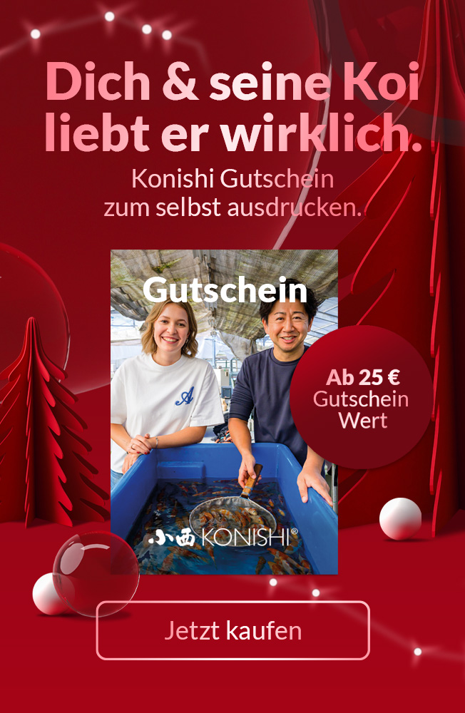 Neu Gutschein Vorxmas Mobil