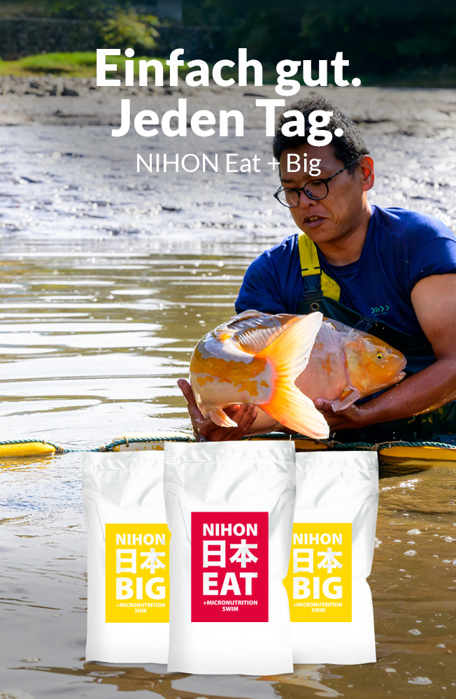 Nihon Eatbig Summer2025 Mobil2 1