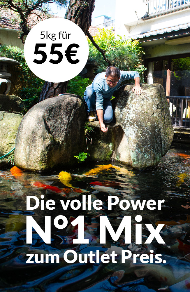 Nr1outletmai2026 Mobil