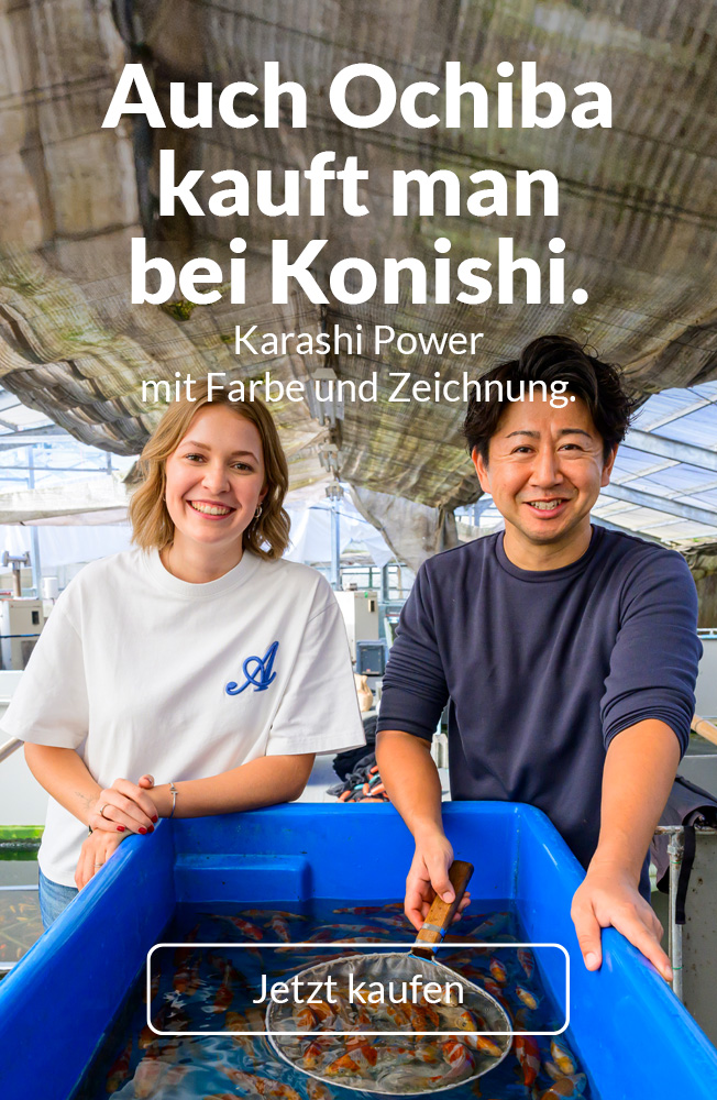 Ochiba Aktion Nov2025 Mobil