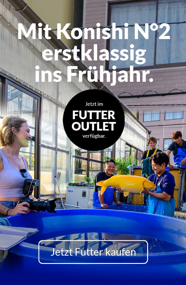 Outlet Futter Nr2 March 2026 Mobil