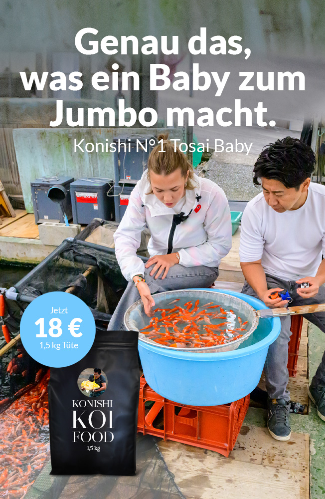 Tosaifutter Aktion Nov2025 Mobil 1