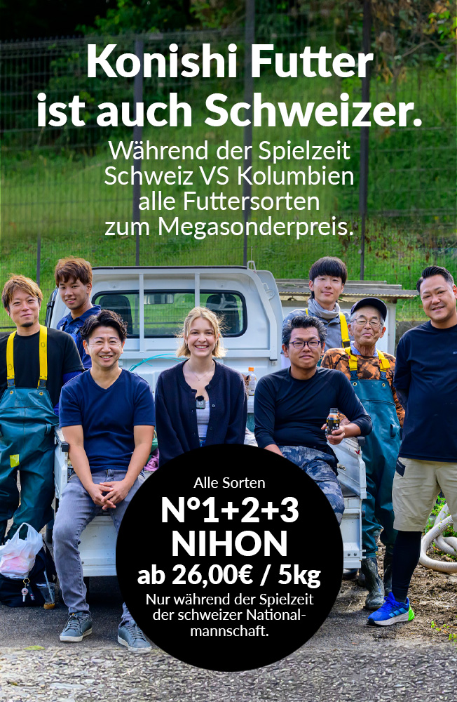 Wm2026 5 Mobil