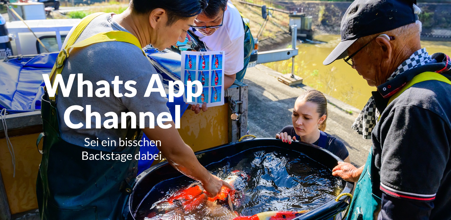 Whatsapp Herbst2025 Big
