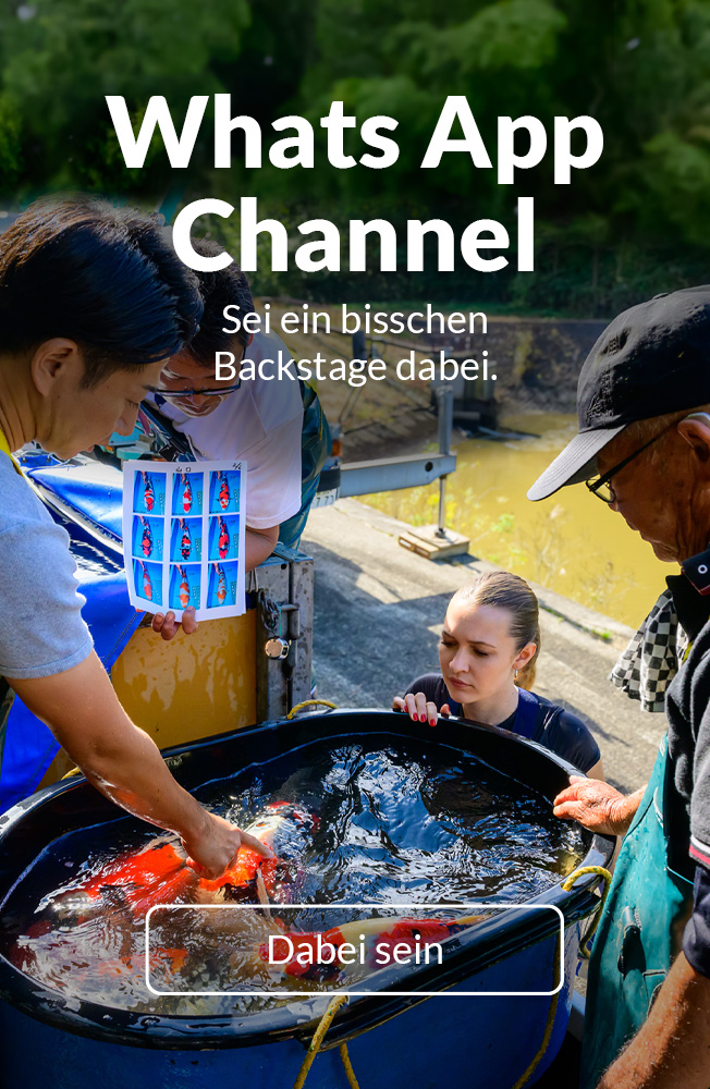 Whatsapp Herbst2025 Mobil 1