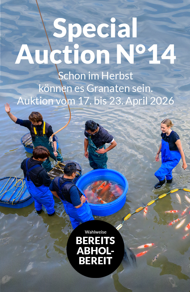 Special Auction Nr14 Mobil
