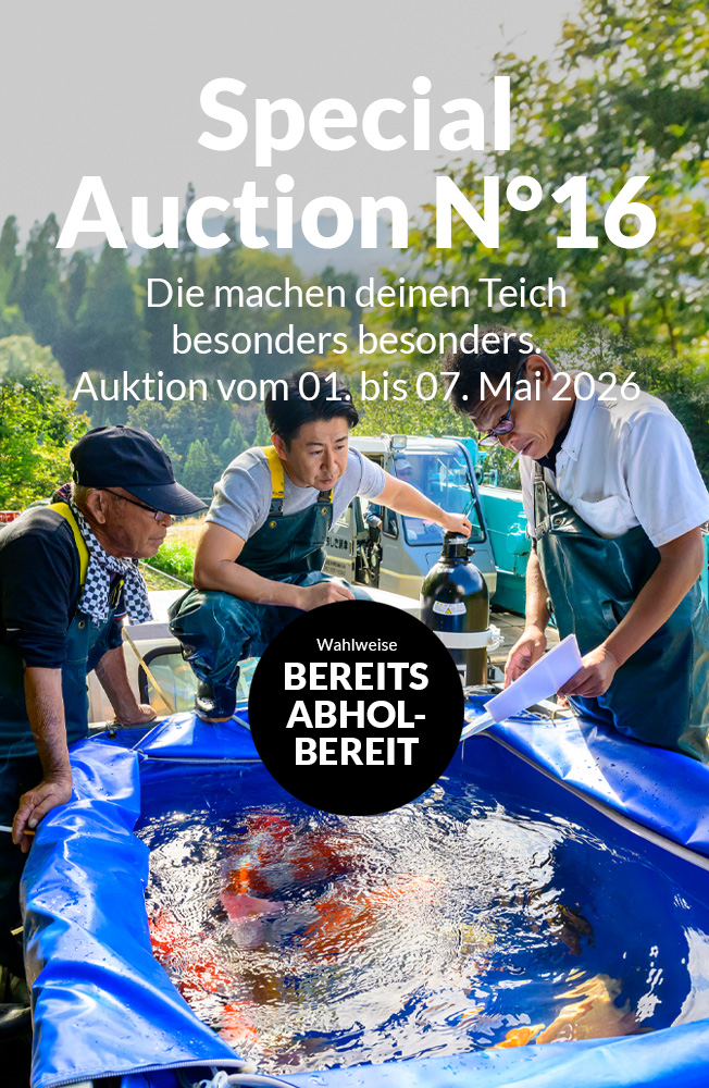 Special Auction Nr16 Mobil