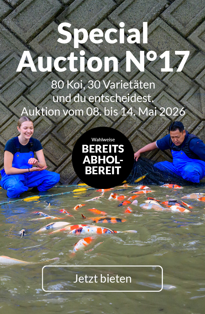 Special Auction Nr17 Mobil