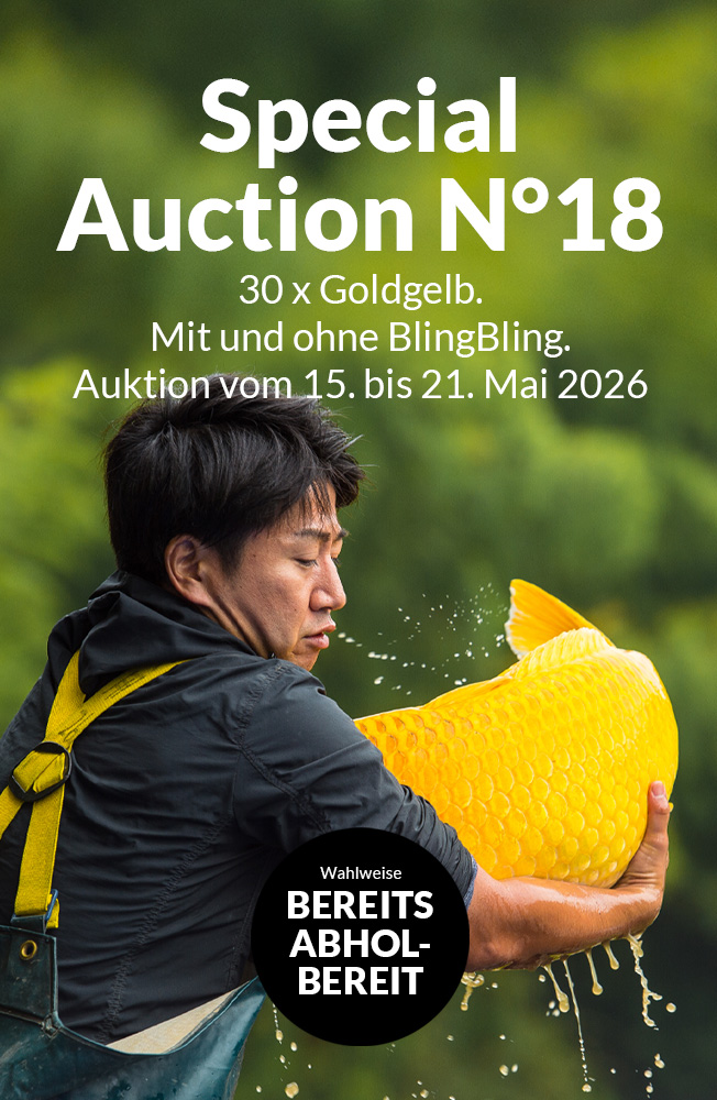 Special Auction Nr18 Mobil