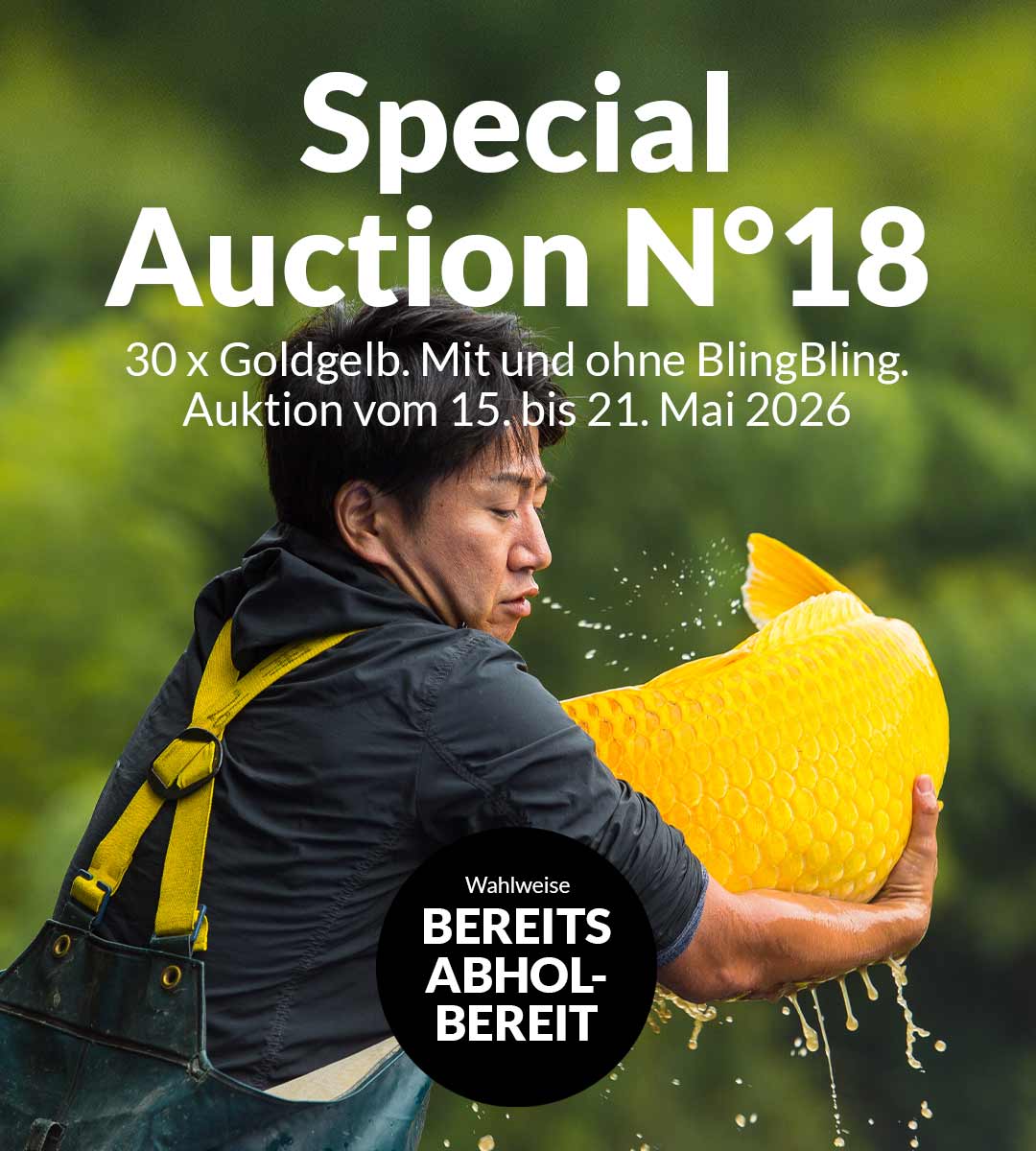 Special Auction Nr18 Overview Mobile 1