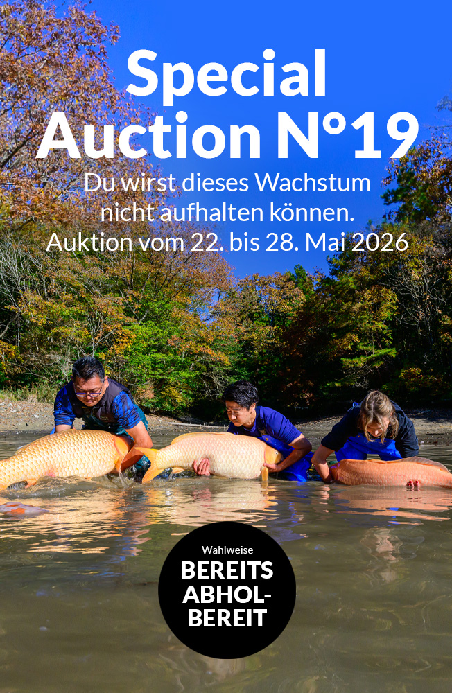 Special Auction Nr19 Mobil