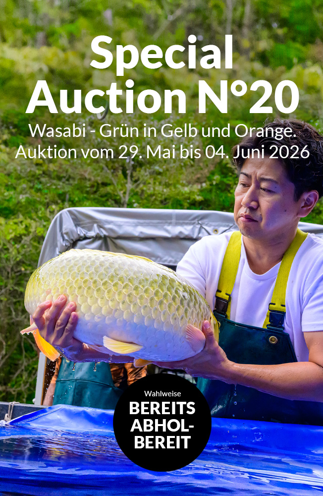 Special Auction Nr20 Mobil