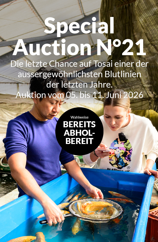 Special Auction Nr21 Mobil
