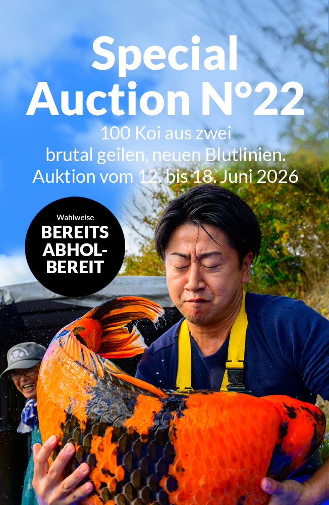 Special Auction Nr22 Mobil2