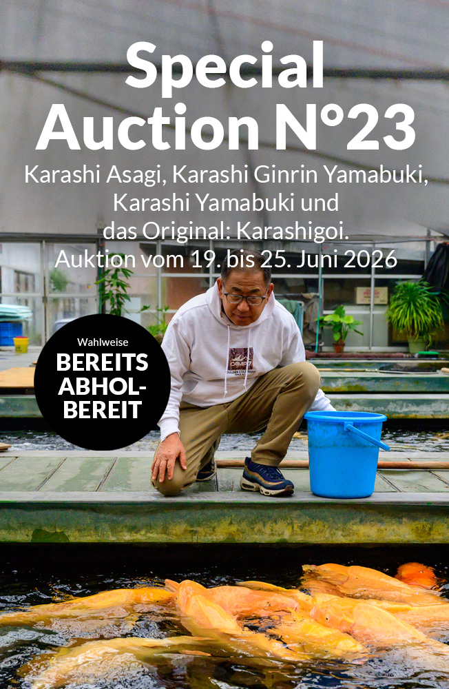 Special Auction Nr23 Mobil 1