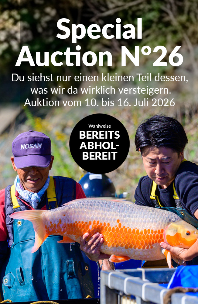 Special Auction Nr26 Mobil