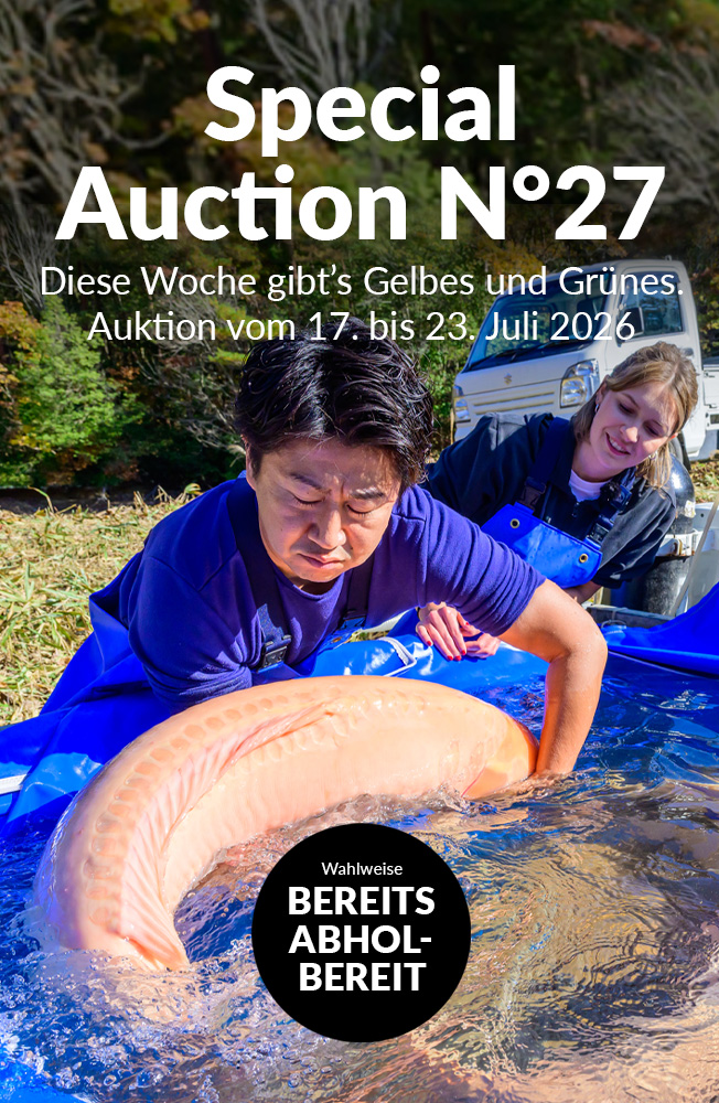 Special Auction Nr27 Mobil