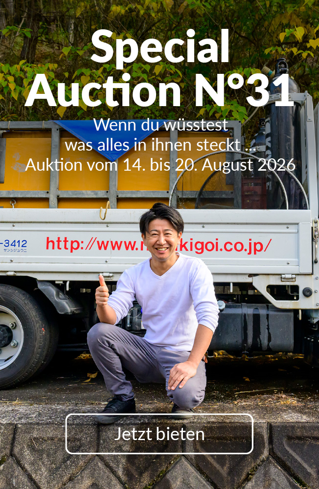 Special Auction Nr31 Mobil