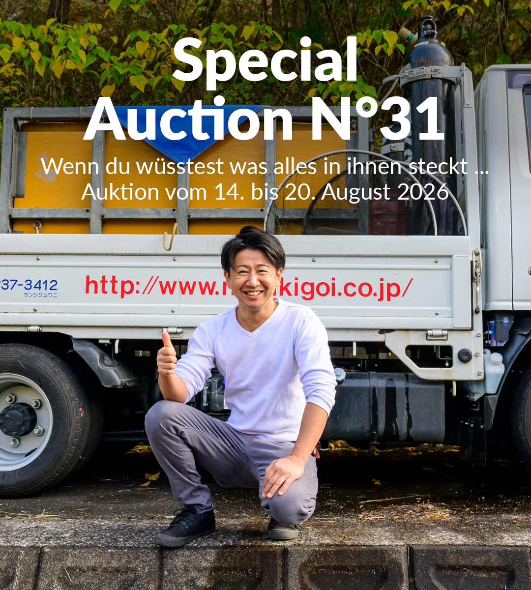 Special Auction Nr31 Overview Mobile 1