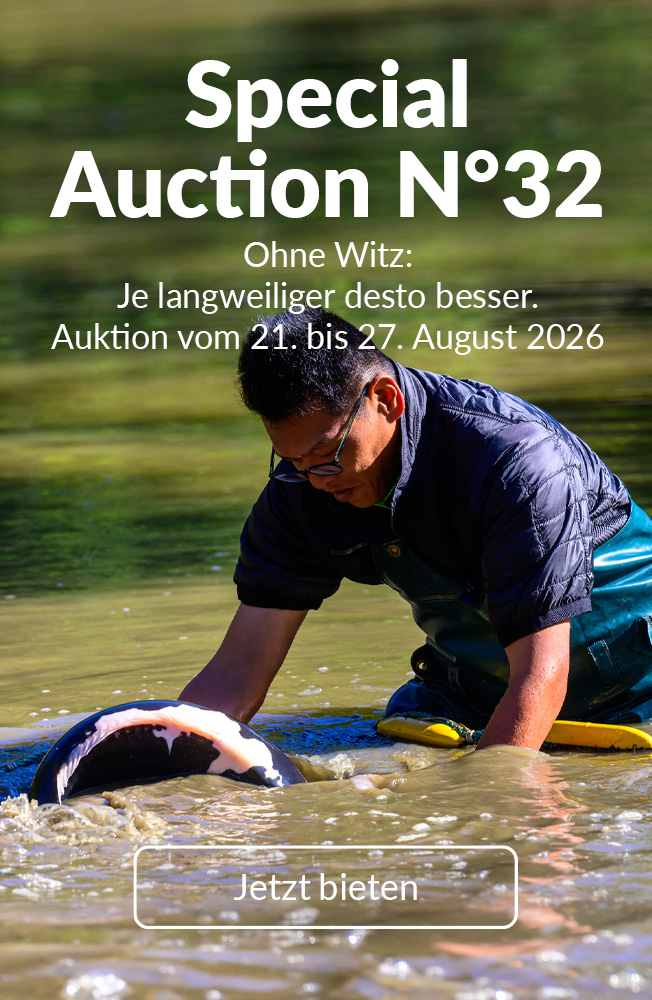 Special Auction Nr32 Mobil