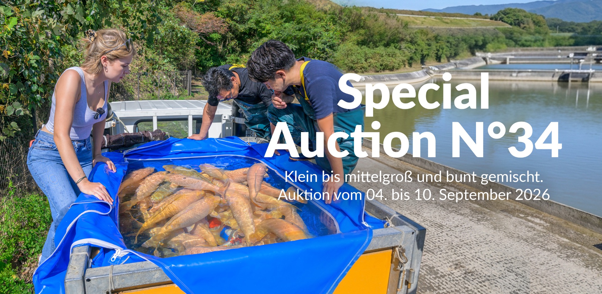 Special Auction Nr34 Big