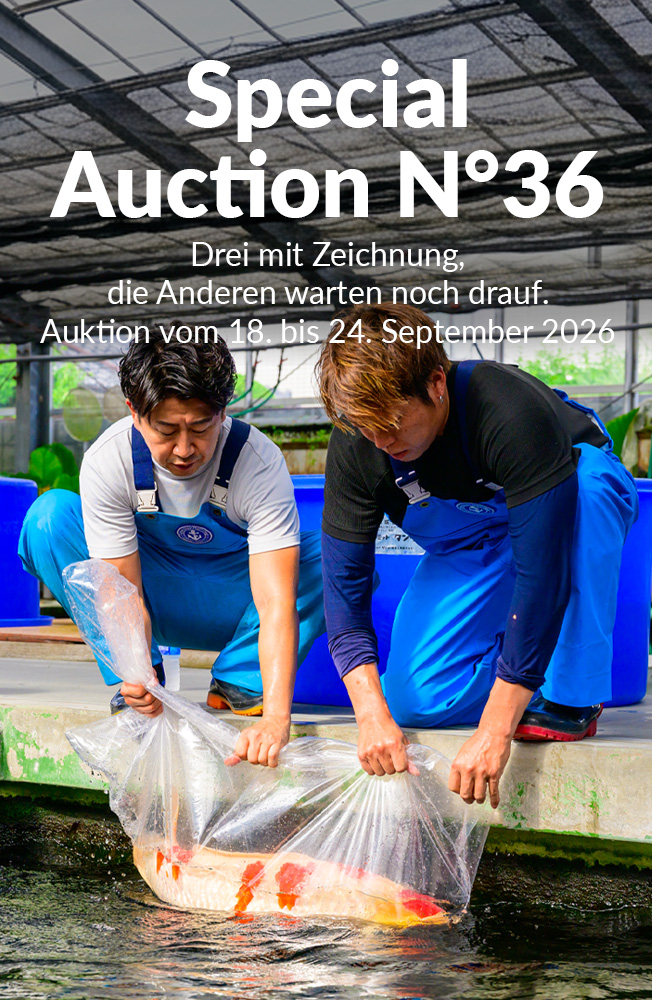 Special Auction Nr36 Mobil